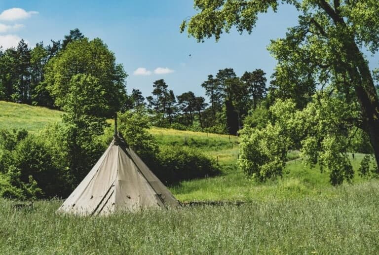 Tipi