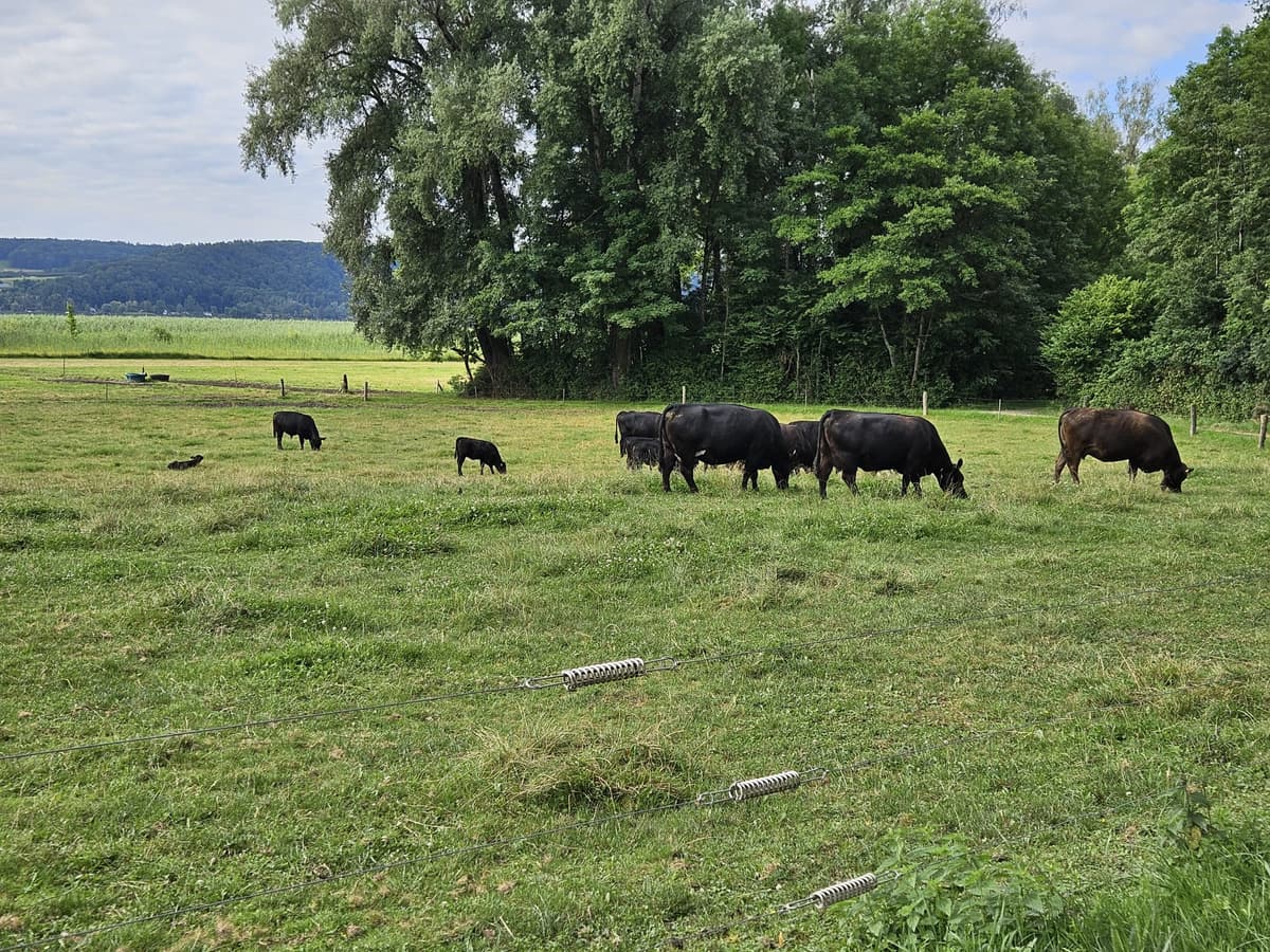 Bauernhof