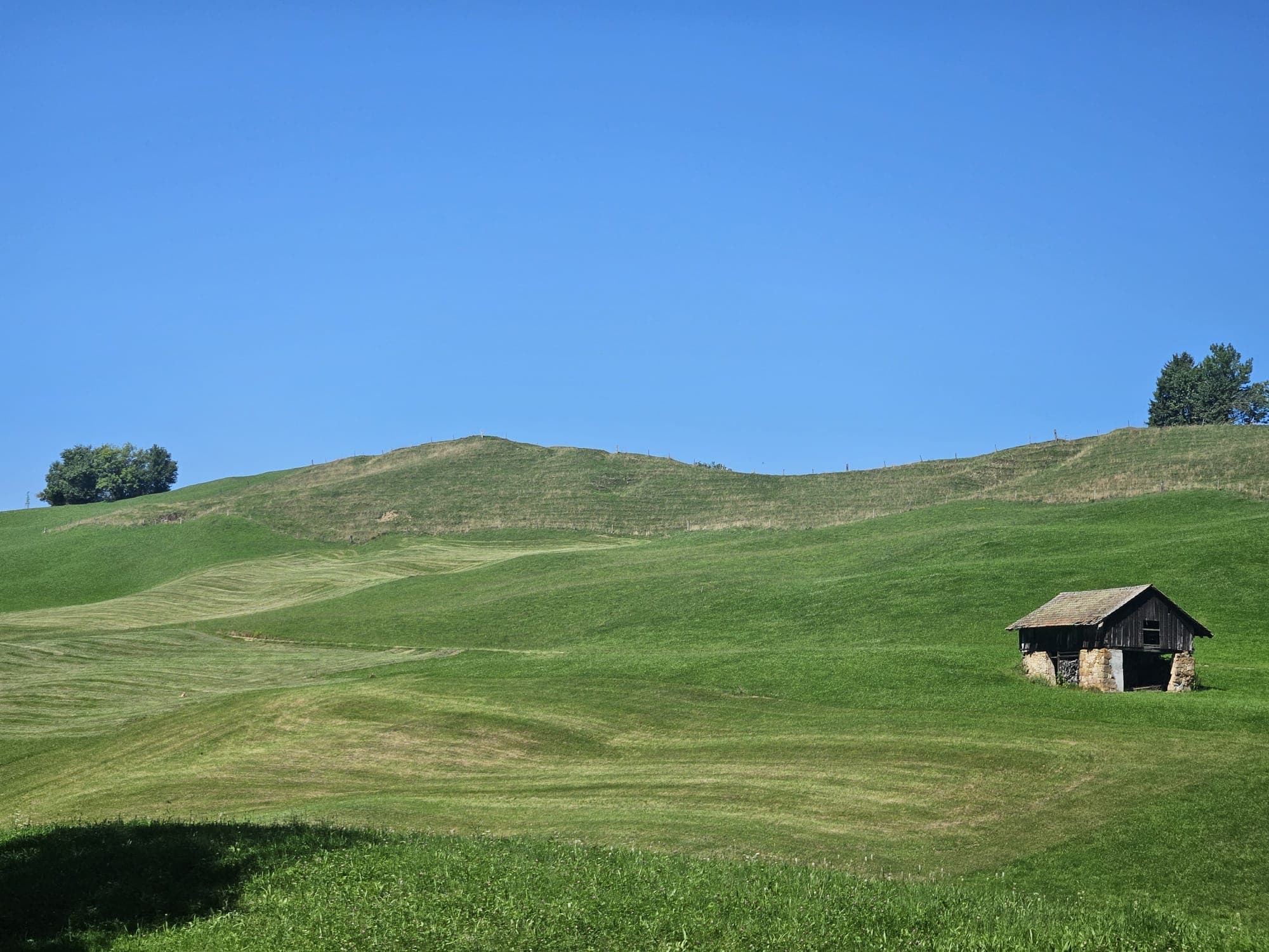 Glamping auf einer Wiese umgeben von sattem Grün und ruhiger Natur