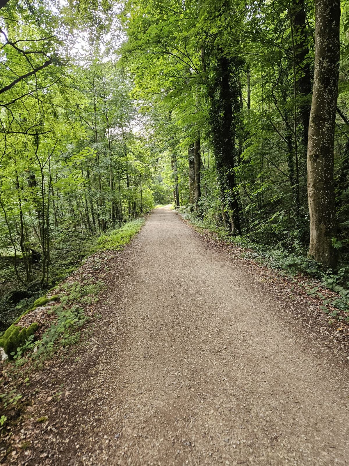 Wald
